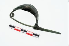 Foto von Bronzekahnfibel (NHMW-PRAE-026194)